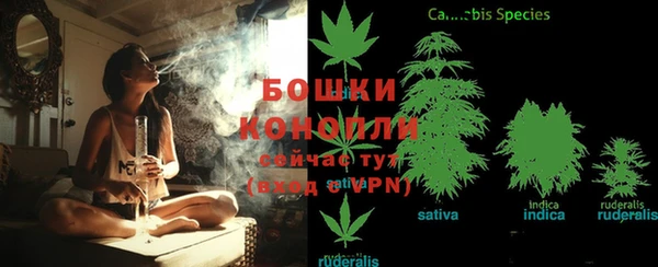бошки Нязепетровск