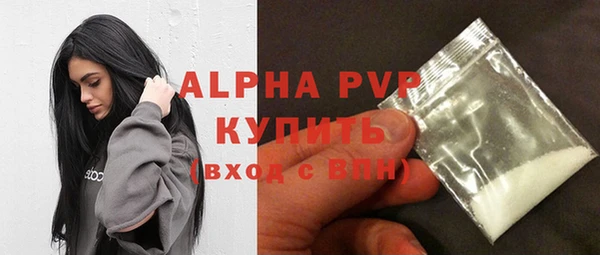 дживик Краснослободск