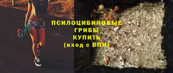 метадон Няндома