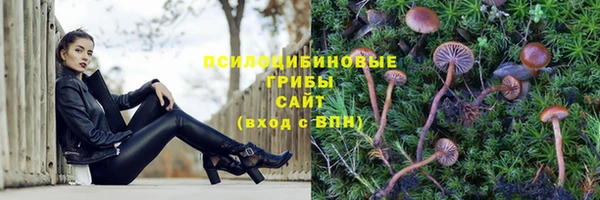 бошки Нязепетровск